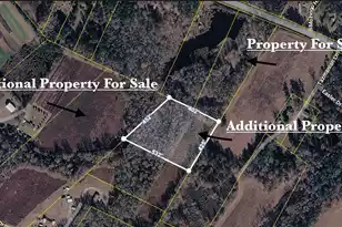 3401 Santee River Rd, Saint Stephen, SC 29479 - Photo 3