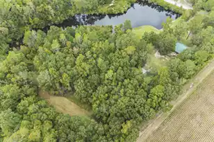 3401 Santee River Rd, Saint Stephen, SC 29479 - Photo 39