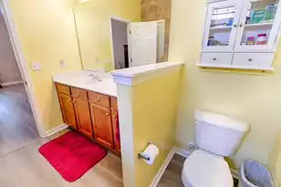 274 Sweet Alyssum Dr, Ladson, SC 29456 - Photo 21