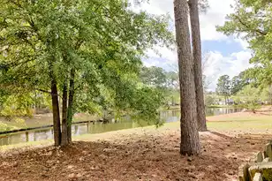 274 Sweet Alyssum Dr, Ladson, SC 29456 - Photo 55