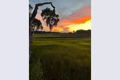 224 Old Hickory Crossing, Johns Island, SC 29455 - Photo 69