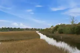 224 Old Hickory Crossing, Johns Island, SC 29455 - Photo 55