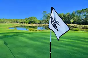 2725 Parkers Landing Rd, Mount Pleasant, SC 29466 - Photo 85