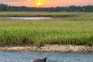 2725 Parkers Landing Rd, Mount Pleasant, SC 29466 - Photo 37