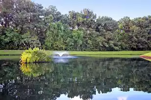 1812 Chatelain Way, Mount Pleasant, SC 29464 - Photo 55