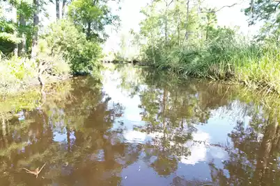 538 Castlebury Road, Walterboro, SC 29488 - Photo 41