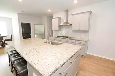 208 Garden Lily Lane, Summerville, SC 29485 - Photo 7