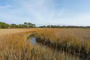 913 Paul Revere Dr, Charleston, SC 29412 - Photo 61