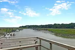 1442 Eutaw Battalion Dr, Charleston, SC 29412 - Photo 53