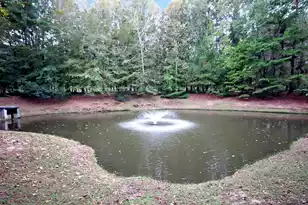 908 Marymont Ln W, Charleston, SC 29414 - Photo 9