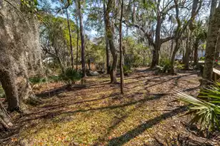 201 Ladd Ct N, Charleston, SC 29492 - Photo 53