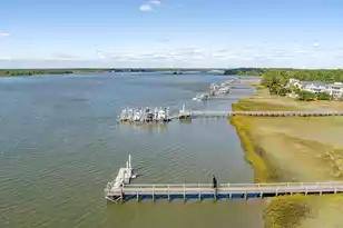 2614 River Bluff Ln, Mount Pleasant, SC 29466 - Photo 71