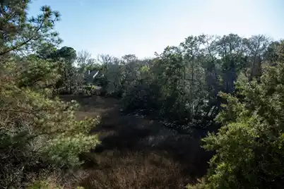 115 Wappoo Landing Circle, Charleston, SC 29412 - Photo 37