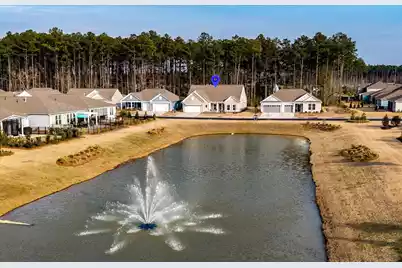 706 Spring Highlands Drive, Summerville, SC 29486 - Photo 59