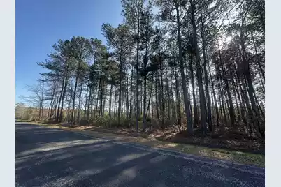 801 Gar Road, Smoaks, SC 29481 - Photo 3