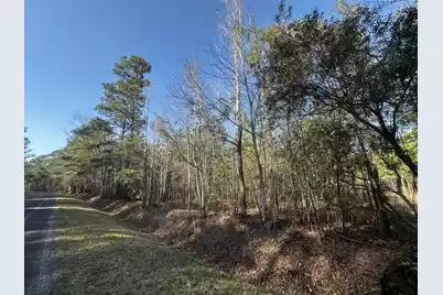 801 Gar Road, Smoaks, SC 29481 - Photo 7