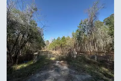 801 Gar Road, Smoaks, SC 29481 - Photo 5