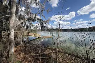 332 Pink Azalea St, Summerville, SC 29485 - Photo 39