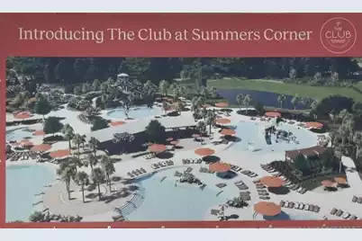 332 Pink Azalea Street, Summerville, SC 29485 - Photo 45