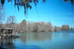 1076 Mulligan Dr, Manning, SC 29102 - Photo 7