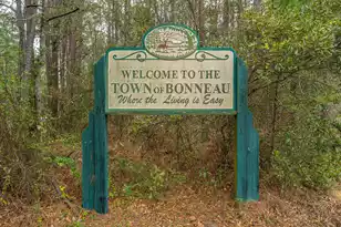 164 Albacore Rd, Bonneau, SC 29431 - Photo 59