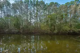 1561 Montclair St, Charleston, SC 29407 - Photo 77