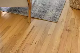 201 Collingwood Ave, Charleston, SC 29407 - Photo 15