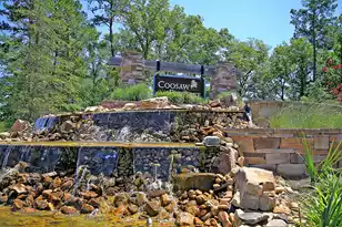 9920 Winged Elm St, Ladson, SC 29456 - Photo 55