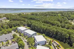 3061 Monhegan Way, Mount Pleasant, SC 29466 - Photo 65