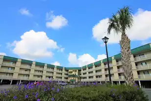 3701 Docksite Rd, Edisto Beach, SC 29438 - Photo 3