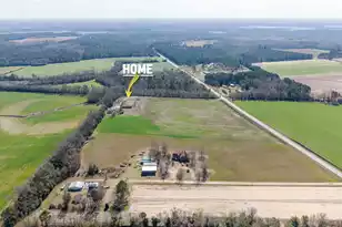 4871 Slab Landing Rd, Cope, SC 29038 - Photo 33