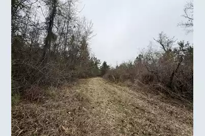 9750 Cottageville Highway, Cottageville, SC 29435 - Photo 19