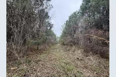 9750 Cottageville Highway, Cottageville, SC 29435 - Photo 37