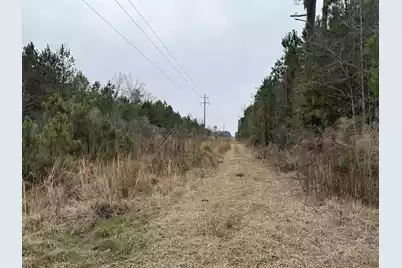 9750 Cottageville Highway, Cottageville, SC 29435 - Photo 31