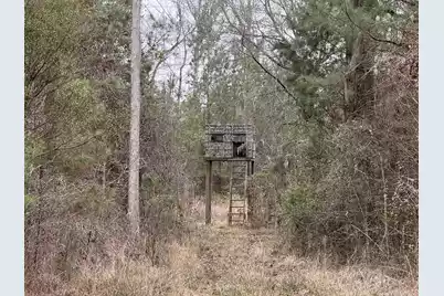 9750 Cottageville Highway, Cottageville, SC 29435 - Photo 49