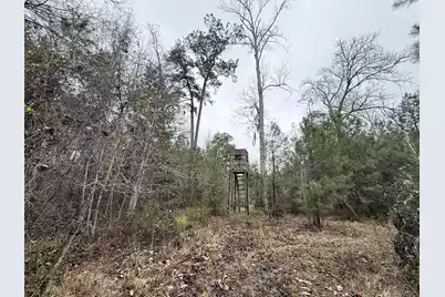 9750 Cottageville Highway, Cottageville, SC 29435 - Photo 45