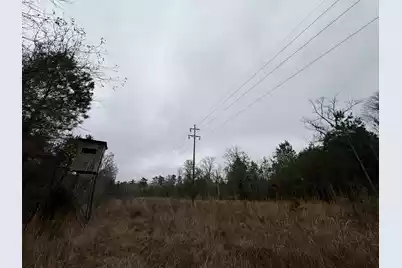 9750 Cottageville Highway, Cottageville, SC 29435 - Photo 33