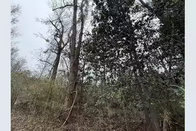 9750 Cottageville Highway, Cottageville, SC 29435 - Photo 9