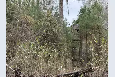 9750 Cottageville Highway, Cottageville, SC 29435 - Photo 41