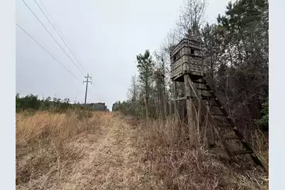 9750 Cottageville Highway, Cottageville, SC 29435 - Photo 53