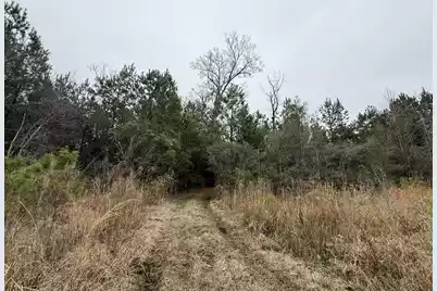 9750 Cottageville Highway, Cottageville, SC 29435 - Photo 57