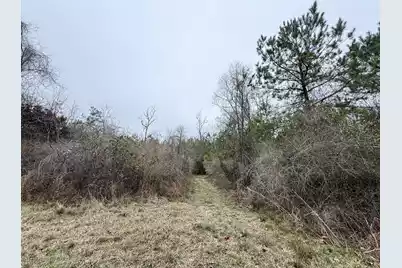 9750 Cottageville Highway, Cottageville, SC 29435 - Photo 21