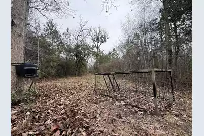 9750 Cottageville Highway, Cottageville, SC 29435 - Photo 51