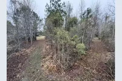 9750 Cottageville Highway, Cottageville, SC 29435 - Photo 11