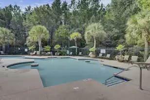 235 Nelliefield Creek Dr, Wando, SC 29492 - Photo 53