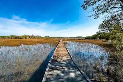 6411 China Back Lane, Meggett, SC 29449 - Photo 55