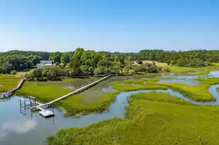 6411 China Back Ln, Meggett, SC 29449 - Photo 57