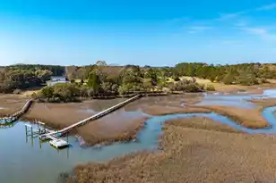 6411 China Back Ln, Meggett, SC 29449 - Photo 55