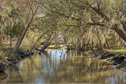 6411 China Back Lane, Meggett, SC 29449 - Photo 53
