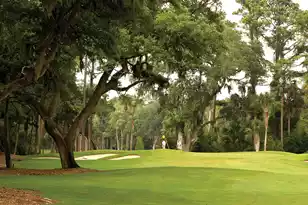 8 Dunecrest Trce, Johns Island, SC 29455 - Photo 71